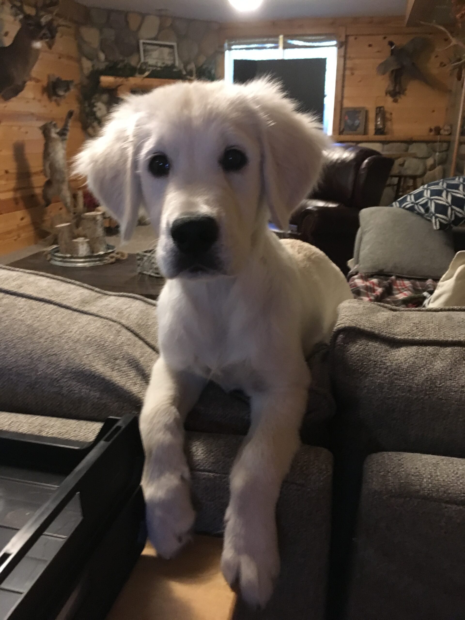 tucker 18