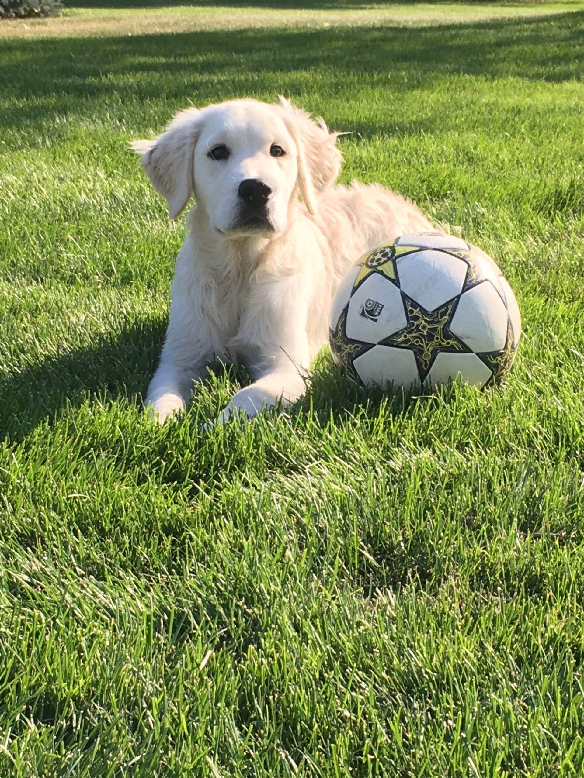 tucker 20